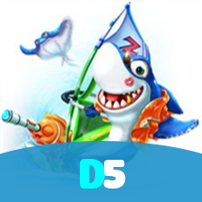 D5 visual
