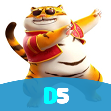 D5 visual