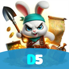 D5 visual