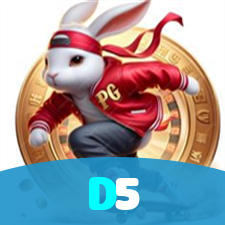 D5 visual