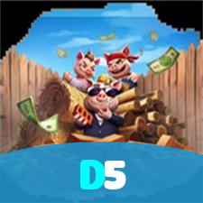 D5 visual