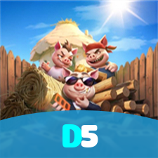 D5 visual