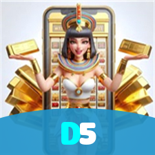 D5 visual