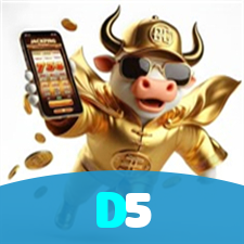 D5 visual