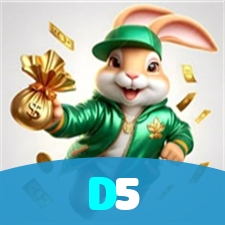 D5 visual